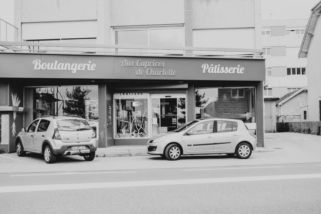 Franc-Bisontin - Unique ! 4 Logements Disponibles ブザンソン エクステリア 写真